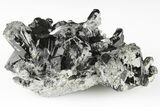 Black Tourmaline (Schorl) Crystal Cluster - Mexico #190539-1